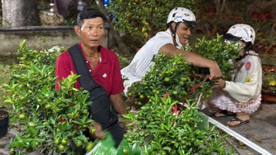 "Cây quất nghĩa tình", câu chuyện cảm động ngày cuối năm ở Bình Dương